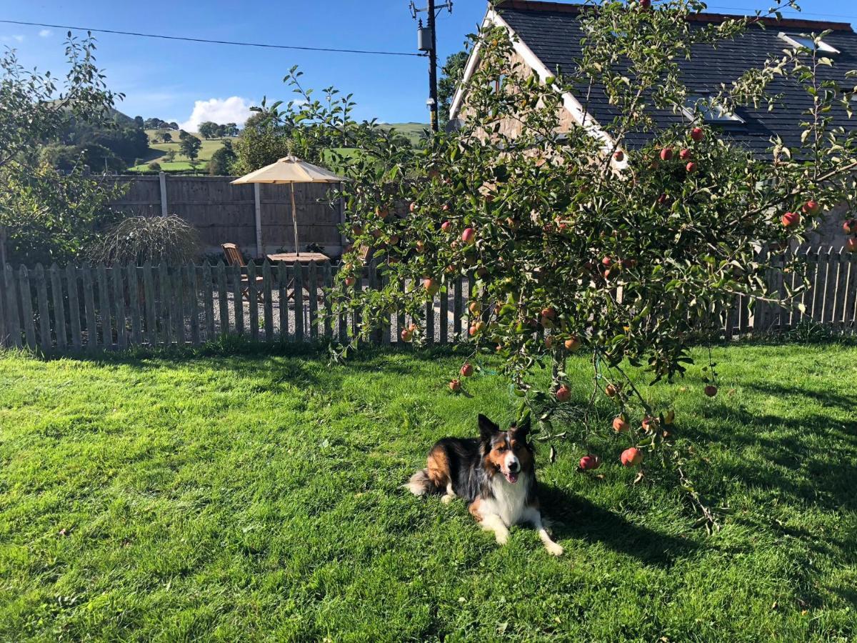 Ty Gylfinir Villa Llandegla Dış mekan fotoğraf